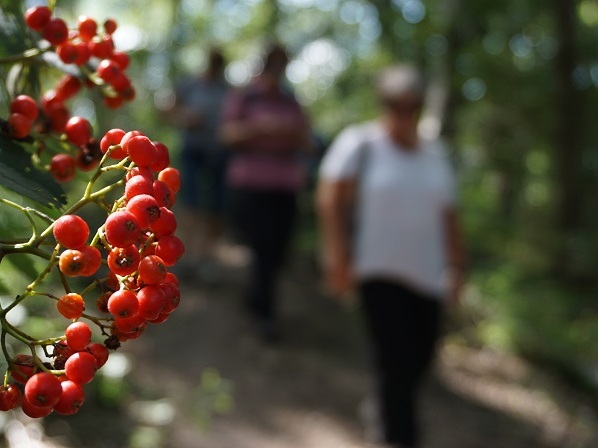 Natur- und Landschafts-Guide Jürgen Weiß