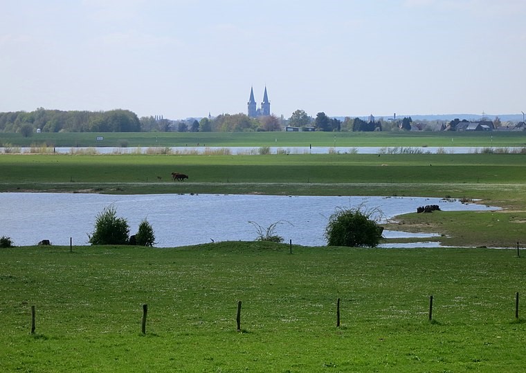 Natur- und Landschafts-Guide Ursula Grote