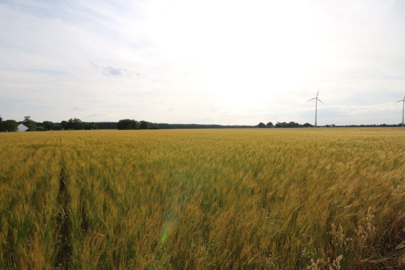 Landschäferei Berkhöfel