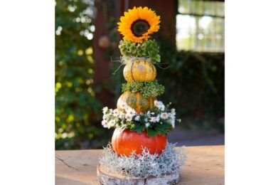 3 Kürbisse in den Farben unten orange, in der mitte orange-grün und oben gelb gestapelt auf einer Holzscheibe. Auf dem obersten Kürbis befindet sich eine Sonnenblume, zwischen den Kürbissen befindet sich Moos. Der Kürbisturm ist auf einer Holzscheibe. Im Hintergrund eine Hütte und ein Baum.