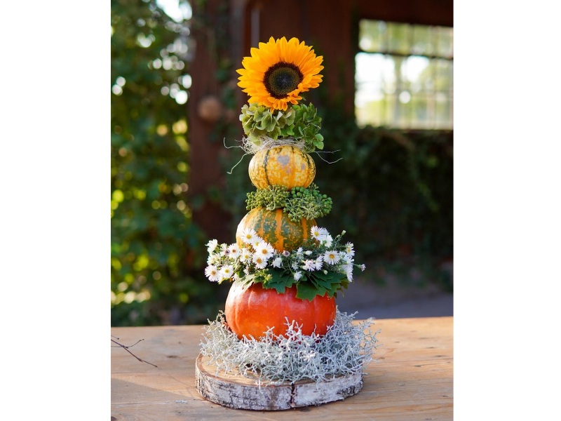 3 Kürbisse in den Farben unten orange, in der mitte orange-grün und oben gelb gestapelt auf einer Holzscheibe. Auf dem obersten Kürbis befindet sich eine Sonnenblume, zwischen den Kürbissen befindet sich Moos. Der Kürbisturm ist auf einer Holzscheibe. Im Hintergrund eine Hütte und ein Baum.