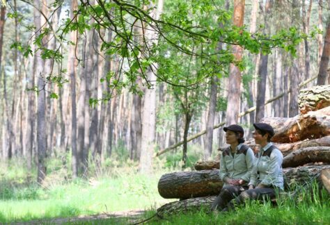 Neben einer Lichtung im Wald sitzen die Hat Ladies und beobachten diese. Im Hintergrund befinden sich gestapelte Baumstämme. Die Lichtung ist in Sonnenlicht getaucht.