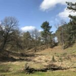 De Hamert - Senke im Wald