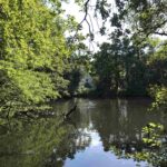 See im Wald, im Hintergrund ein weißes Gebäude