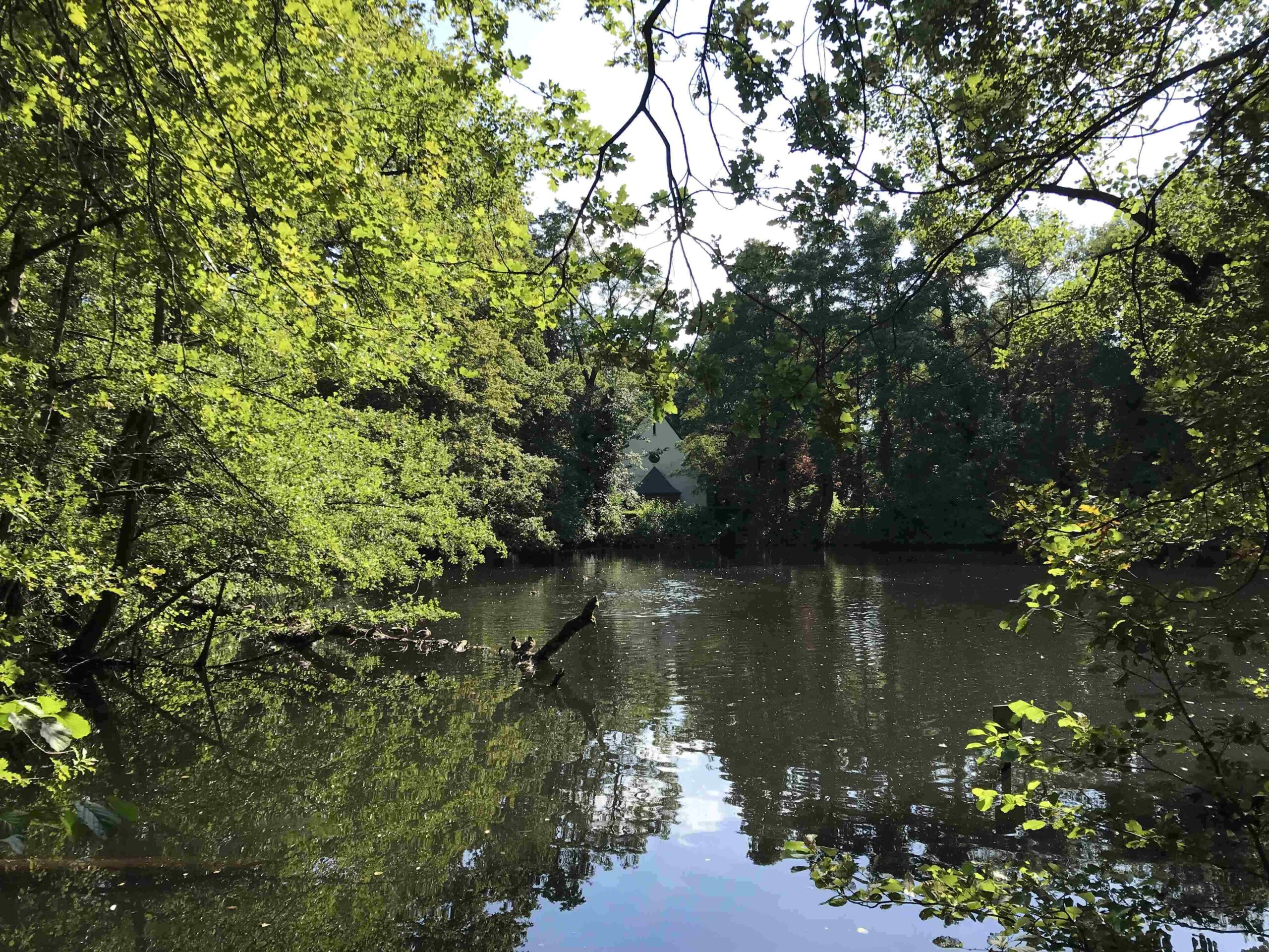 See im Wald, im Hintergrund ein weißes Gebäude