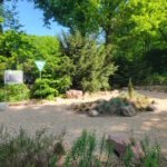 Gesteinsgarten, im Hintergrund Wald