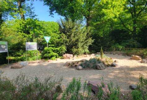 Gesteinsgarten, im Hintergrund Wald