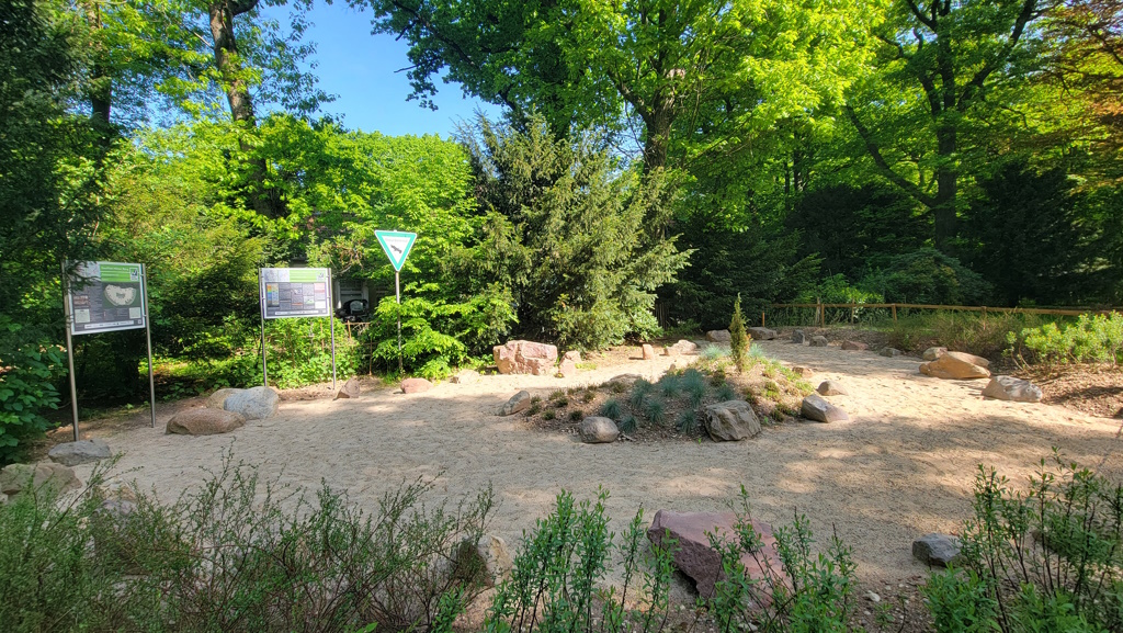 Gesteinsgarten, im Hintergrund Wald