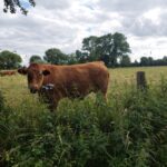 Natur- und Landschafts-Guide Sonja Beetz