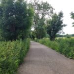 Weg copyright Sonja Beetz