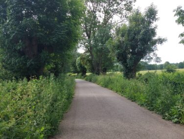 Weg copyright Sonja Beetz