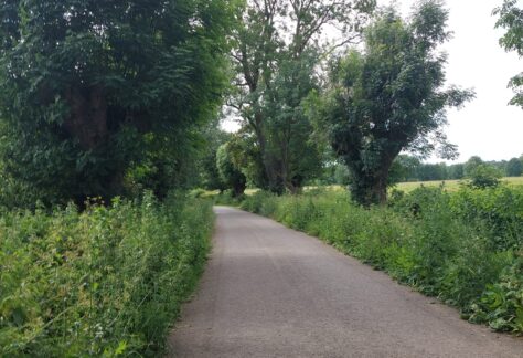Weg copyright Sonja Beetz