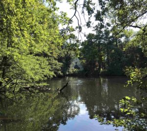 See im Wald, im Hintergrund ein weißes Gebäude