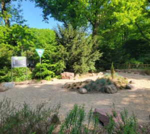 Gesteinsgarten, im Hintergrund Wald