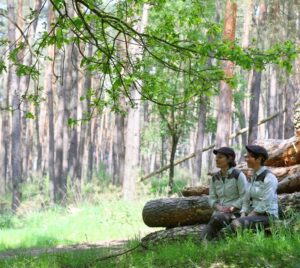 Neben einer Lichtung im Wald sitzen die Hat Ladies und beobachten diese. Im Hintergrund befinden sich gestapelte Baumstämme. Die Lichtung ist in Sonnenlicht getaucht.