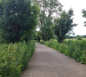 Weg copyright Sonja Beetz